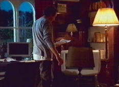 George Irving as Robin Blake/Stuart Mills