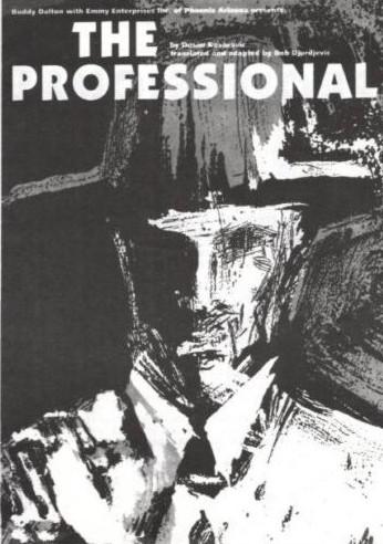 The Professional programme