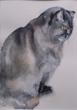 watercolour portrait of a grey cat