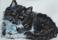 watercolour portrait of a black and white kitten