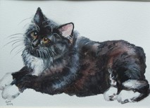 watercolour portrait of a black and white kitten