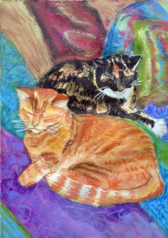 portrait of sleeping cats